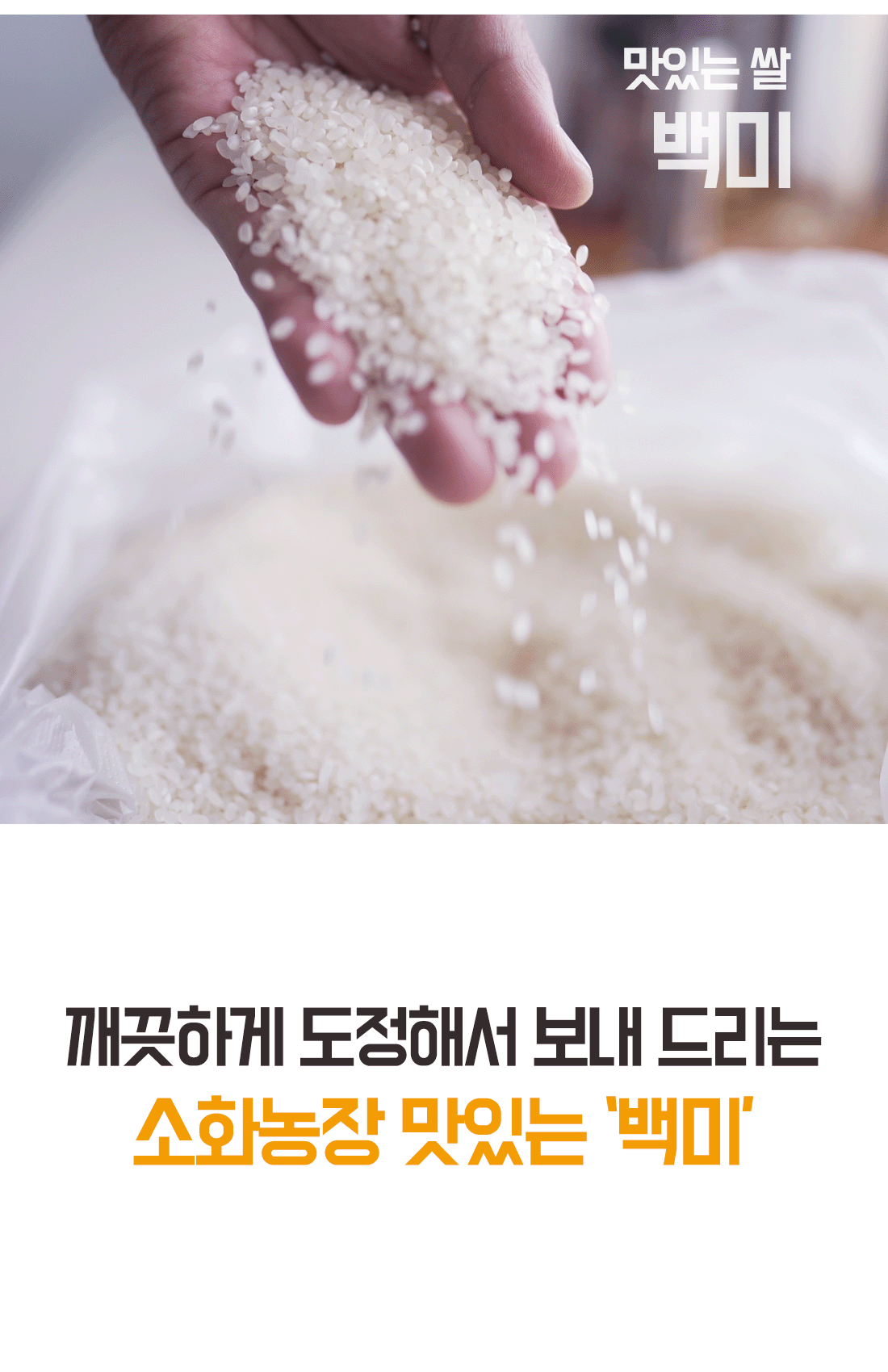 영농조합법인 소화농장 | 2025년 햅쌀 백미2kg